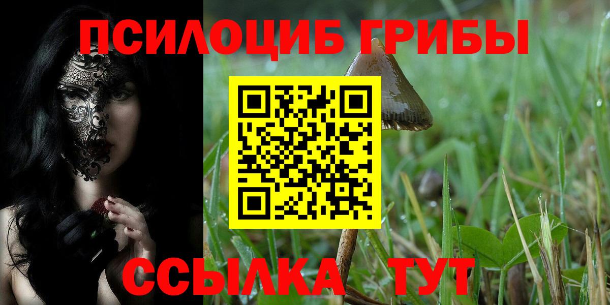 Галлюциногенные грибы Magic Shrooms  цена   Павлово  Вход с VPN 